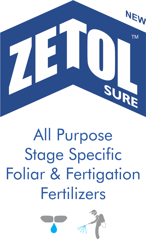 Zetol